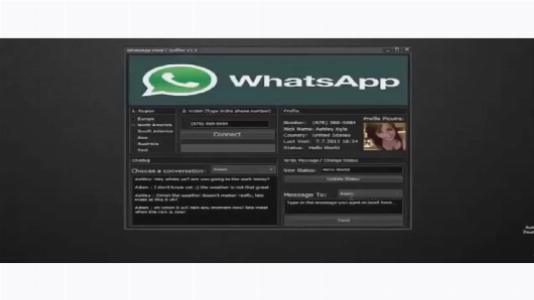 wpid programma spion dla whatsapp 6 Программа шпион для whatsapp
