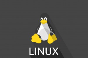 linux cover 300x199 Популярность Linux растет